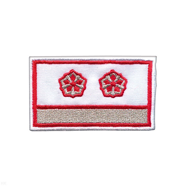 Нагрудный знак вышит. РЖД (белый) 1 галун 2 звезды