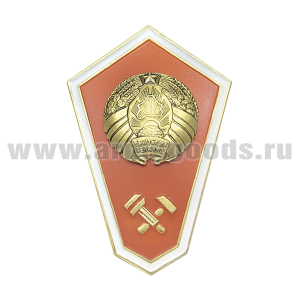 Значок мет. "Гробик" РБ Среднее образование техническое (МЧС) (латунь, хол.эм. с накладкой)
