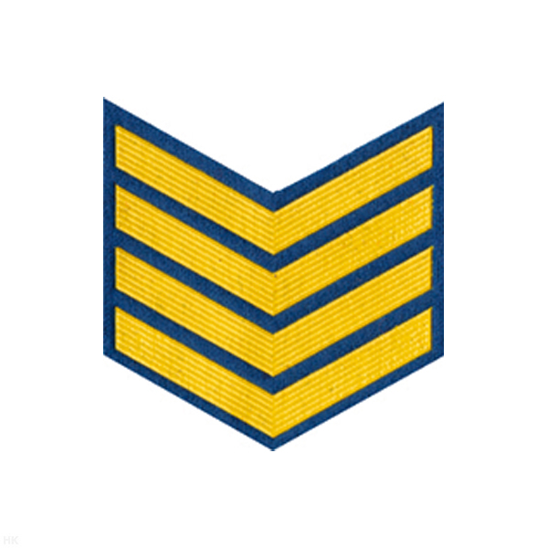 Курсовка пластизол. 4 курс (голуб.)