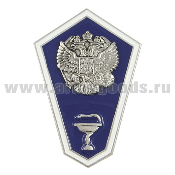 Значок мет. "Гробик" Среднее ветеринарное образование (латунь, хол.эм. с накладным орлом РФ)