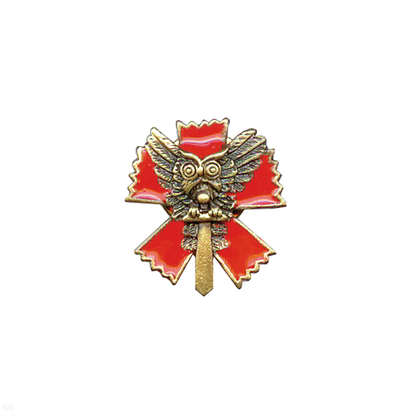 Значок мет. Сова на мече (ГРУ) лат.