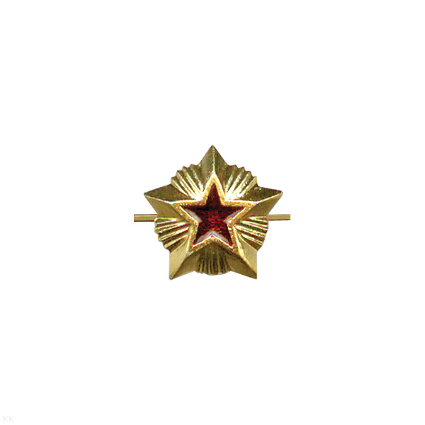 Звезда на погоны мет. 14 мм Таможня (зол. с красной эмалью)