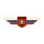 Значок мет. Должностной знак командира полка и ему равной воинской части (№20)