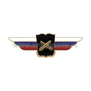 Значок мет. Должностной знак начальника военной академии РВиА (№36)