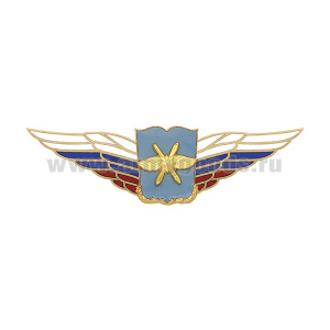 Значок мет. Должностной знак начальника военной академии (ВКС) (№52)