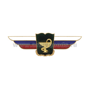 Значок мет. Должностной знак начальника военной академии (медицинские войска)