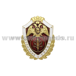 Значок мет. Росгвардия Отличник службы в в/ч, выполняющих задачи по охране важных гос. объектов