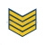 Курсовка пластизол. 4 курс (голуб.)