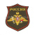 Шеврон вышит. на парад Россия Сухопутные войска (оливковый фон)