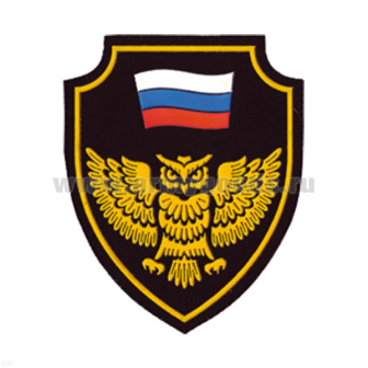 Шеврон пластизолевый (щит с совой и флагом)