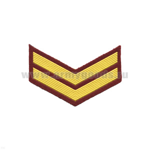 Курсовка пластизол. 2 курс (крапов.) галочка