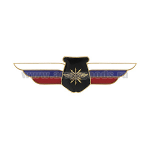Значок мет. Должностной знак начальника (руководителя) воинского формирования, ведущего научно-исследовательскую деятельность (войска связи) (№98)